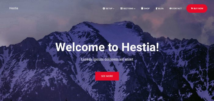 قالب Hestia الحديث والمتوافق مع ووكومرس قالب هيستيا ووردبريس للمتاجر والشركات الناشئة